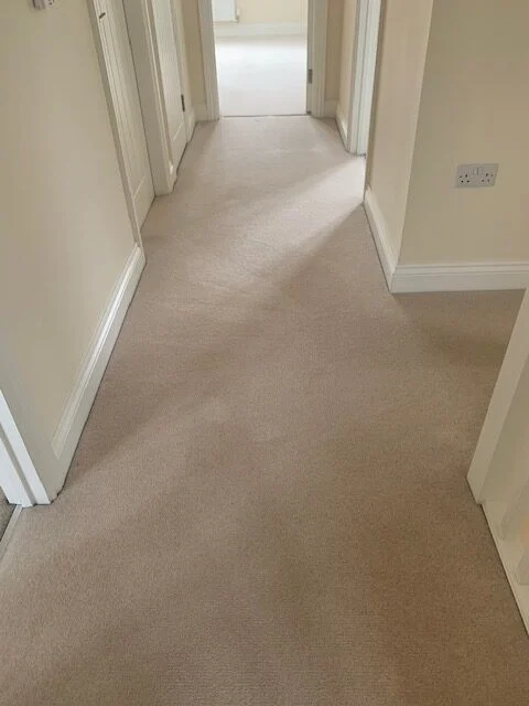 Clean office hallway carpet, showcasing Spotclean Ltd's commercial cleaning in London.