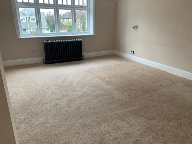 Clean office room ready for use, featuring spotless carpeted floor.